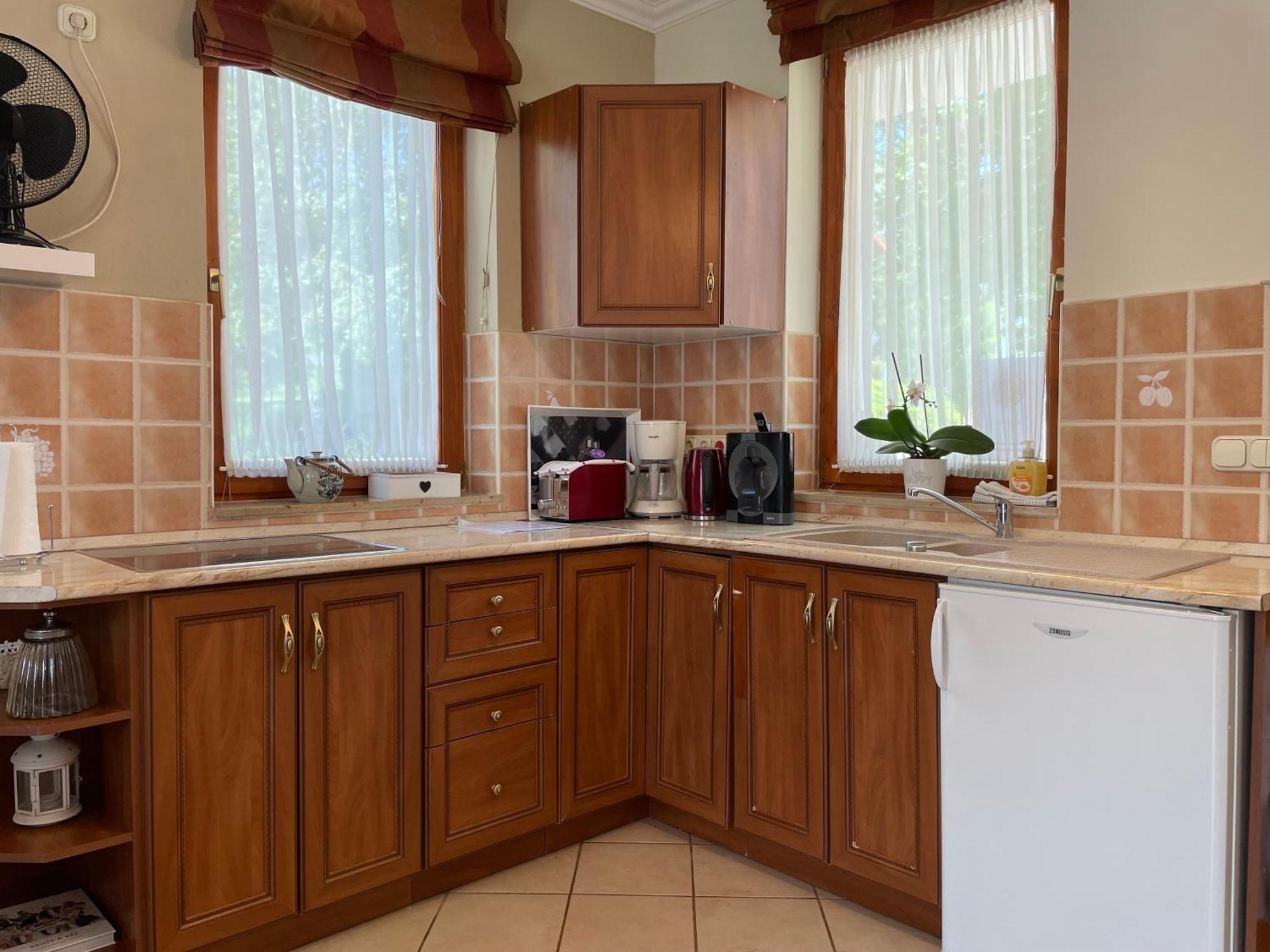 Appartement Kastelo Teraso Zalacsány エクステリア 写真